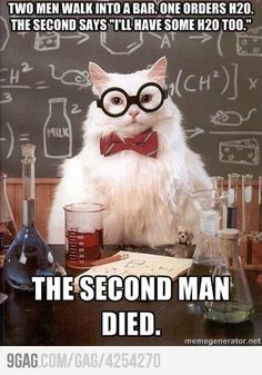 a white cat wearing glasses and bow tie sitting in front of a blackboard with chemical symbols