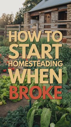 Text "How to Start Homesteading When Broke" overlays a lush vegetable garden with lettuce and tomatoes, in front of a rustic farmhouse.