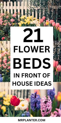 Image featuring low-maintenance flower beds in front of house ideas for busy homeowners. Beautiful Flower Beds, Flower Bed Decor, Flower Garden Layouts, Front Porch Garden, Front Of House Ideas, Garden Layouts, Flower Bed Ideas, Front Landscaping