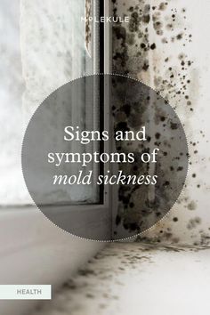 the words signs and symptoms of mold sickness are in front of a window