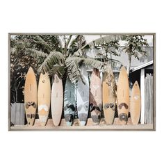 a group of surfboards are lined up against a wall with palm trees in the background