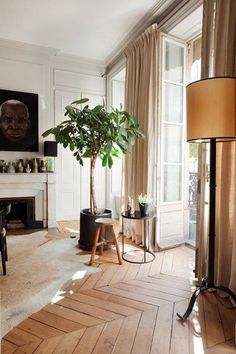 an image of a living room with furniture on the floor and a tree in the corner