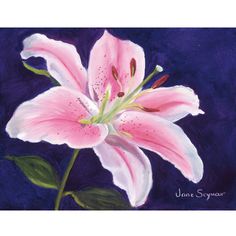 a painting of a pink flower on a blue background