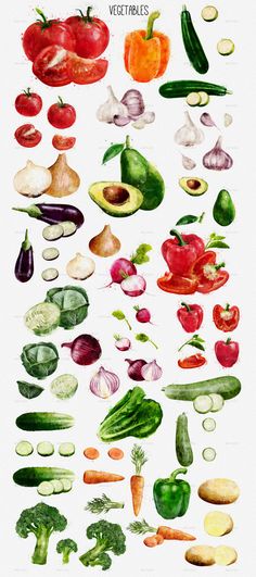 an image of vegetables drawn in watercolor on paper