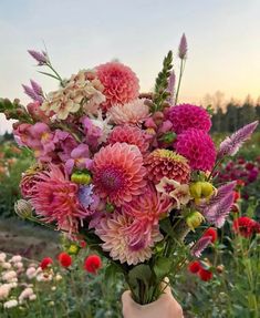 a vase filled with lots of pink and white flowers on top of a lush green field