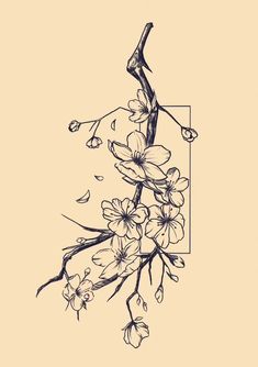 an ink drawing of a branch with flowers on it and a rectangle frame in the background