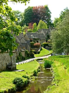 a small river running through a lush green park filled with trees and houses in the background