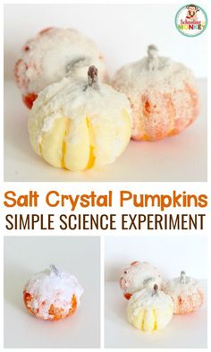 salt crystal pumpkins with the words simple science experiment on top and below it in three different pictures