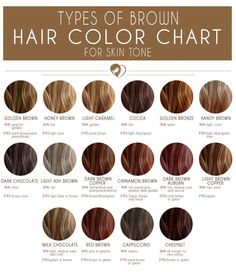 24 Shades Of Brown Hair Color Chart To Suit Any Complexion Types Of Brown Hair, Types Of Brown, Brown Hair Color Chart, Medium Brown Hair Color, Hair Color 2017, Golden Brown Hair, Brown Hair Shades, Medium Brown Hair, Brown Hair Color