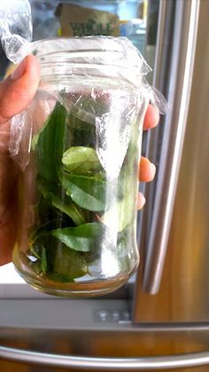 a person holding up a jar filled with green leaves and other things in front of a refrigerator