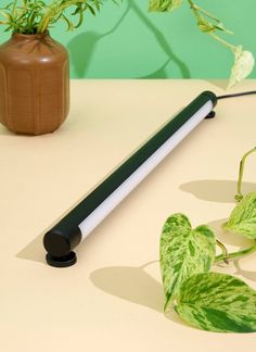 a green plant sitting on top of a table next to a brown vase