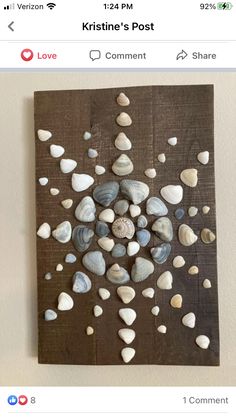 a piece of art made out of seashells