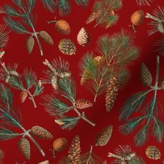 a red background with lots of pine cones and needles on top of eachother