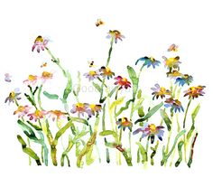 watercolor painting of wildflowers and butterflies on a white background with green stems