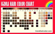 Igora hair color chart, ingredients, Instructions Redken Color Fusion Chart, Professional Hair Color Chart, Schwarzkopf Hair Color Chart, Igora Hair Color, Blond Beige, Schwarzkopf Hair Color, Salon Life, Porous Hair, Schwarzkopf Color