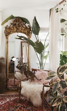 a living room filled with lots of plants next to a large mirror and couches