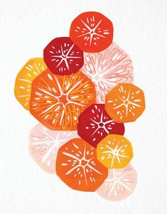 an illustration of oranges and grapefruits arranged in a pattern on white paper