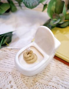 a miniature toilet with two rolls in it on a table next to some plants and a book