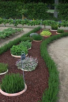 a garden filled with lots of different types of plants