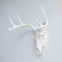 a white deer's head with antlers is shown on a gray wall background