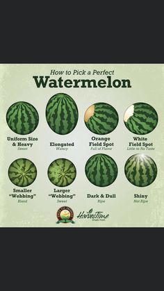 how to pick a perfect watermelon for every type of fruit you can eat