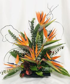 an arrangement of tropical flowers and greenery on a white background