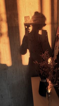 the shadow of a person's head on a wall next to a vase with flowers