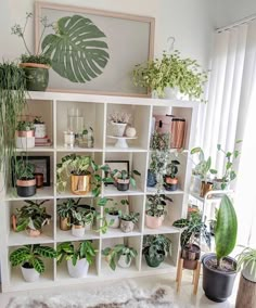 a room filled with lots of potted plants on top of white bookshelves