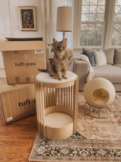 a cat sitting on top of a table in a living room