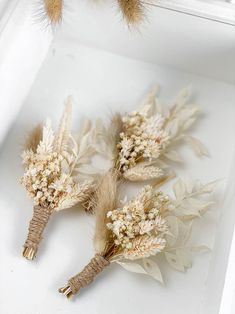 three dried flowers are sitting in a white box