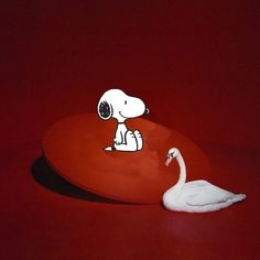 a white dog sitting on top of a red plate next to a white swan in front of it