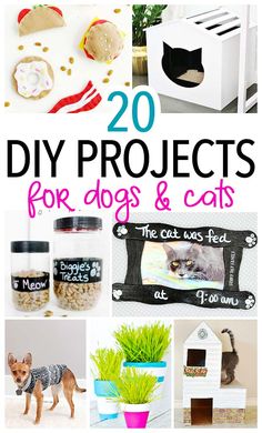 20 diy projects for dogs and cats that are easy to make with the kids