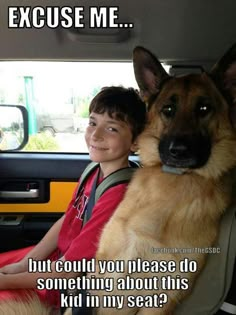 a boy and his dog sitting in the back seat of a car with caption