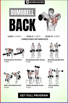 the dumbbell back workout poster shows how to do it and what you can do