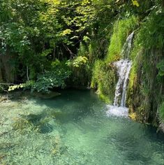 there is a small waterfall in the middle of the water and green vegetation around it