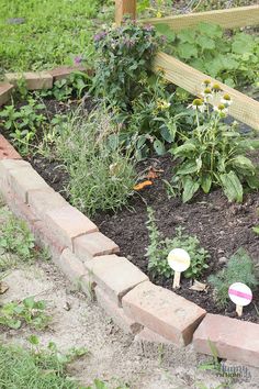 a garden filled with lots of plants next to a fence