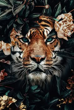 a tiger with blue eyes surrounded by flowers