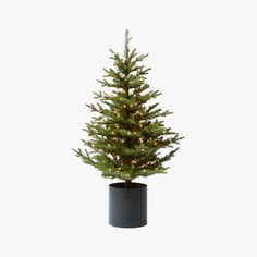 a small christmas tree in a black pot with lights on it's top and bottom