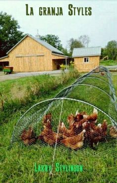 several chickens in a wire cage on the grass near a farm house and barn building