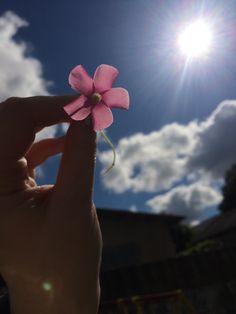 a person holding a pink flower in their hand with the sun shining through the clouds