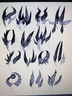 a bunch of different types of feathers on a white board with black writing and numbers