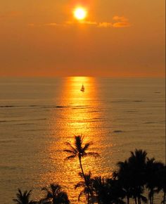 the sun is setting over the ocean with palm trees in foreground and a sailboat on the horizon