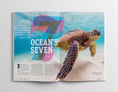 an ocean's seven magazine is opened to show a turtle swimming in the water