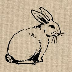 a black and white drawing of a rabbit