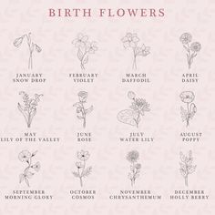 the birth flowers are shown in black and white on a light pink background with text