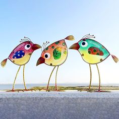 three colorful birds standing next to each other