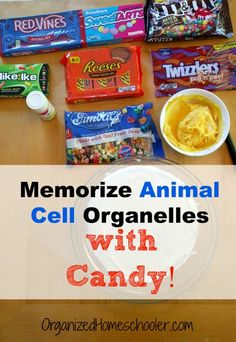 an animal cell organelle with candy and other snacks on a table next to it