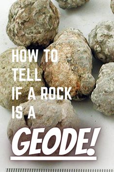 Whole geodes on a table with the text How To Tell If a Rock Is A Geode over the geodes. Geode Hunting, Gem Hunt, Geode Rocks, Geology Rocks