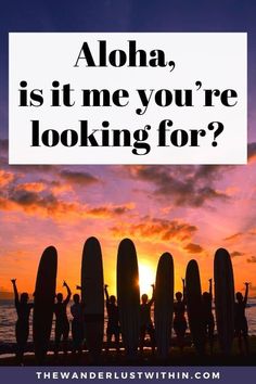 a group of people holding surfboards in front of the ocean with text that reads, aloh, is it me you're looking for?