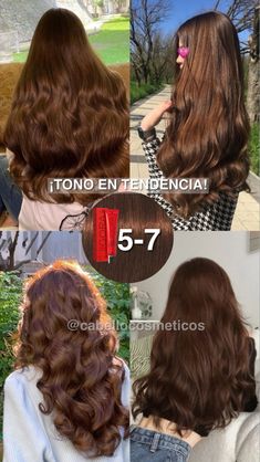 Igora Royal Chocolate Brown, Medium Mahogany Brown Hair, Coper Hairstyles Color, Latina Brown Hair, Brunette Chocolate Hair, Pelo Color Chocolate, Rubio Chocolate, Hair Colors 2024, Brown Chocolate Hair